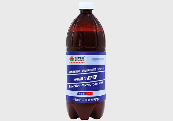 多能酵宝