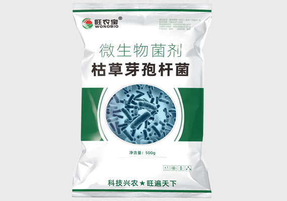 枯草芽孢杆菌